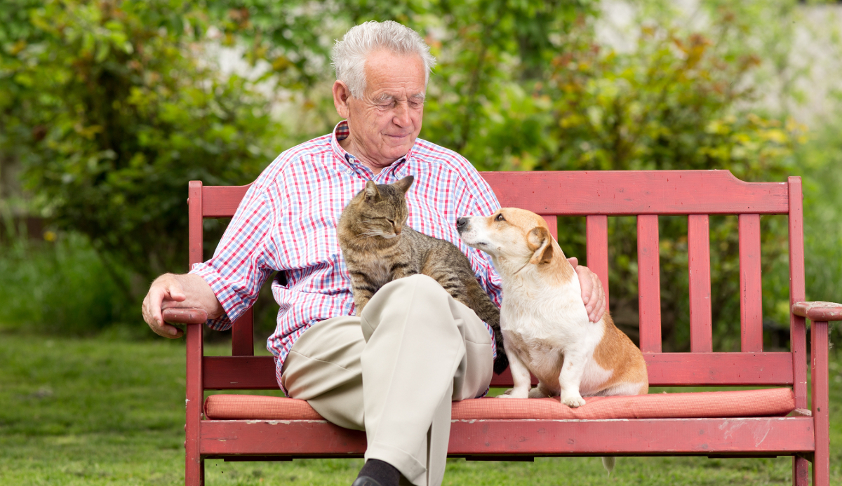 Estate Planning for Your Pets