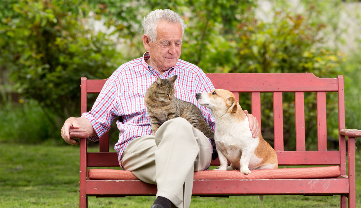 Estate Planning for Pets